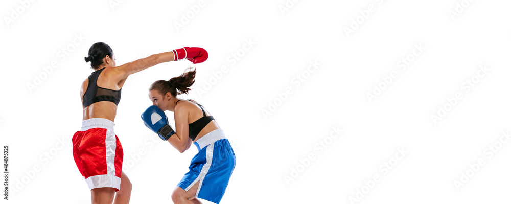 Two woman professional boxers boxing isolated on white studio background. Couple of fit muscular caucasian athletes fighting. Sport, competition