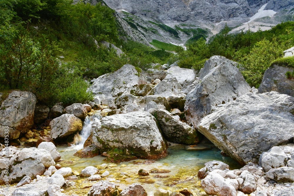 Triglavska Bistrica creek in Vrata valley in Julian alps and Triglav national park, Slovenia Triglavska Bistrica creek in Vrata valley in Julian alps and Triglav national park, Slovenia