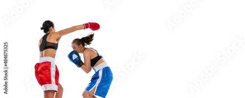 Two woman professional boxers boxing isolated on white studio background. Couple of fit muscular caucasian athletes fighting. Sport, competition © master1305