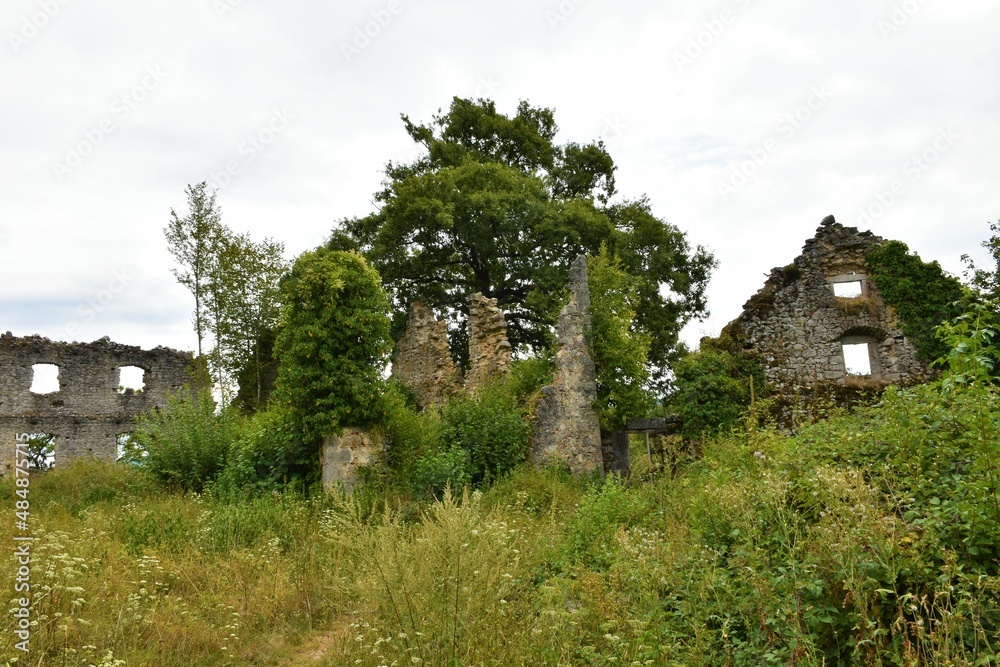 Ruins of Skolj castle near Matavun in municipality of Divaca in Littoral region of Slovenia