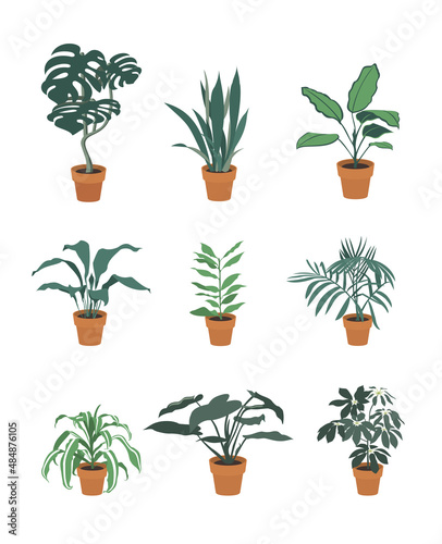 Set of house flowers in pots isolated on white background.Vector illustration.