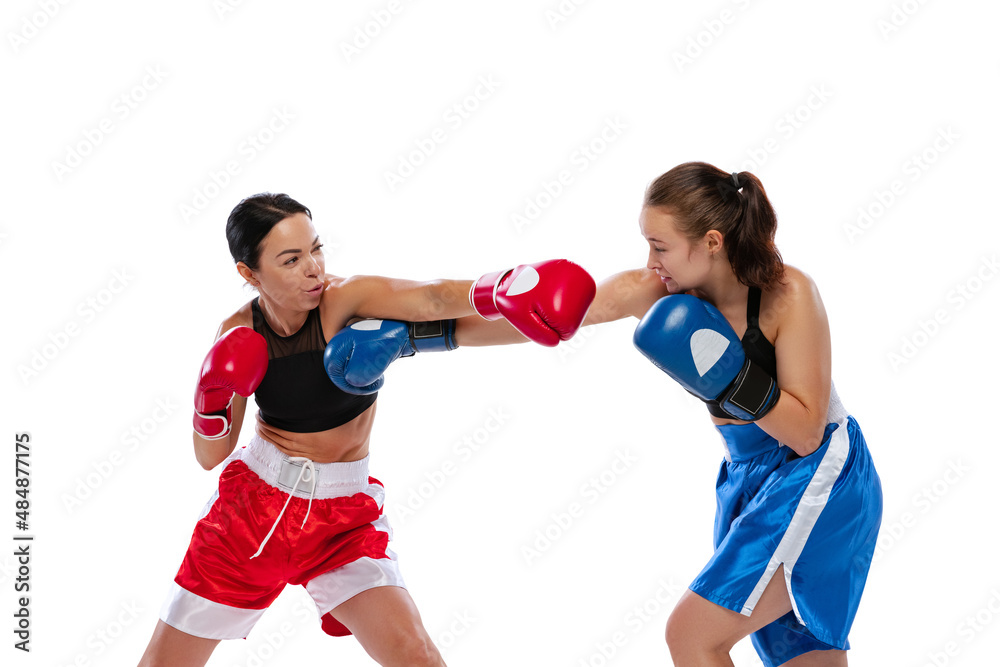 Two woman professional boxers boxing isolated on white studio background. Couple of fit muscular caucasian athletes fighting. Sport, competition