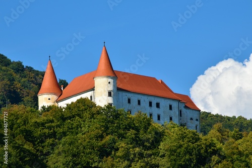 View of Bizeljsko castle surrounded by forest in Stajerska, Slovenia