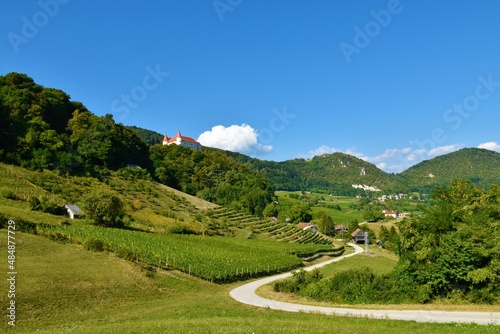 Scenic view of wine country near Bizeljsko in Stajerska, Slovenia with a medieval castle on a ferest covered hill above and a road leading through