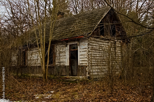 Stara , zabytkowa , opuszczona, zniszczona chata ( dom) z drewnianych bali w śródleśnej osadzie . An old, historic, abandoned, dilapidated log cabin (house) in a mid-forest settlement. 