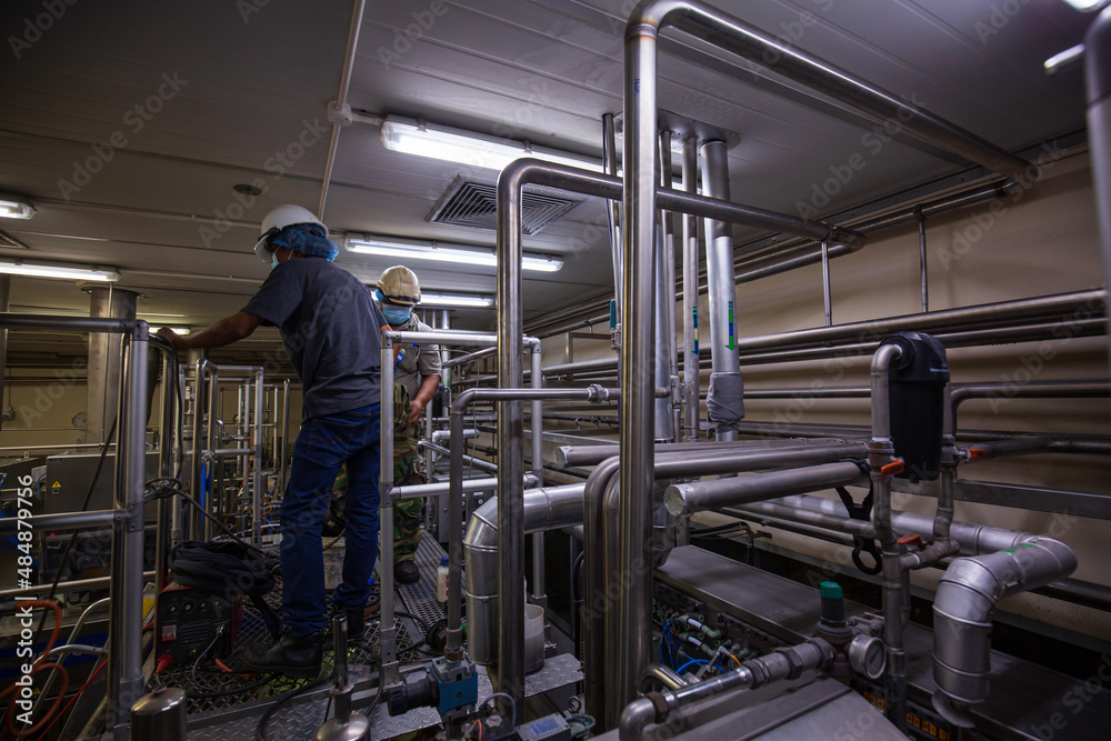 Male worker modern milk cellar stainless steel