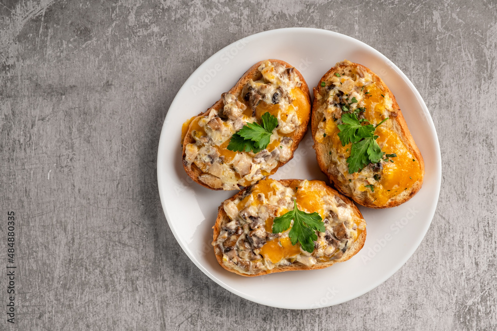 Bruschetta with egg, cheese, mushrooms and herbs in a plate on a gray background. Horizontal orientation, copy space, top view