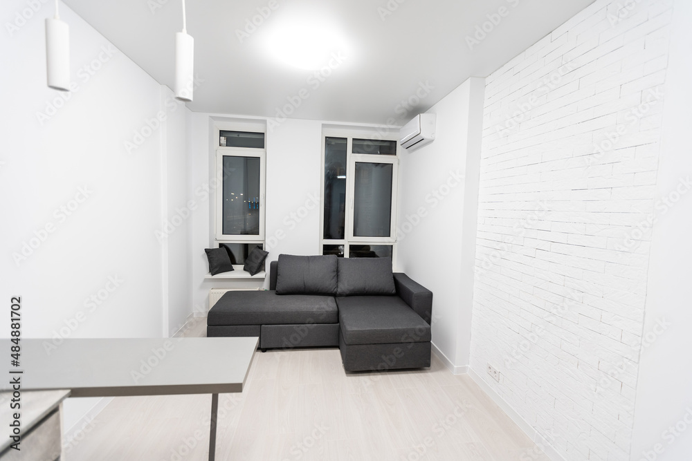 Fototapeta premium Modern studio flat with small kitchen, sofa.