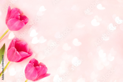 Pink tulips on pastel pink with bokeh lights hearts. Floral background for congratulation.