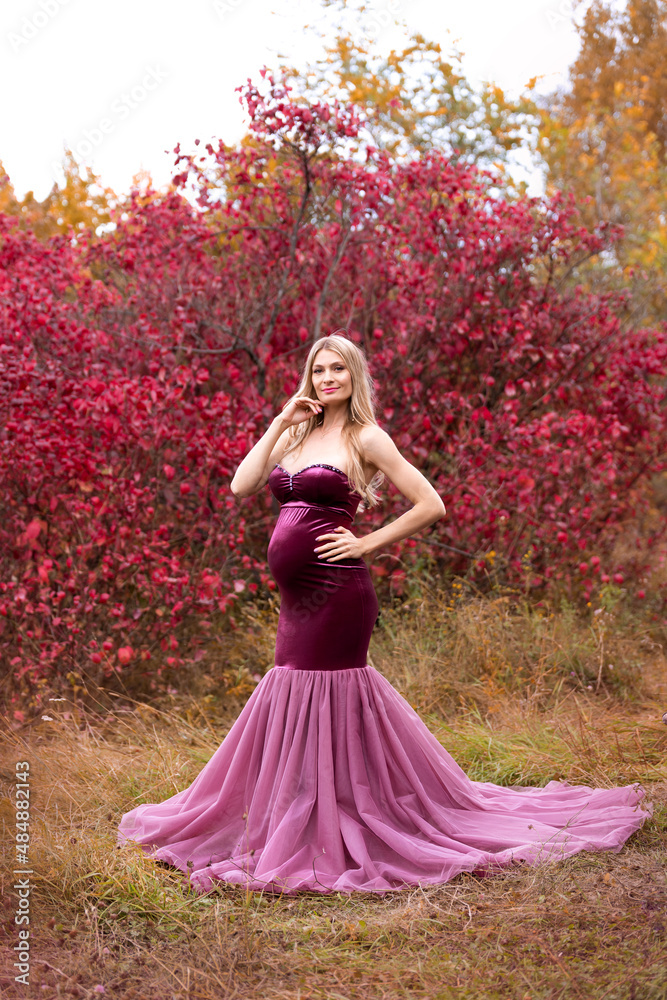 beautiful pregnant blonde woman with long hair in a purple long dress on the background of an autumn forest