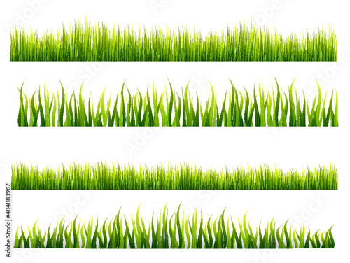 Green grass border transparent with plants isolated vector illustration