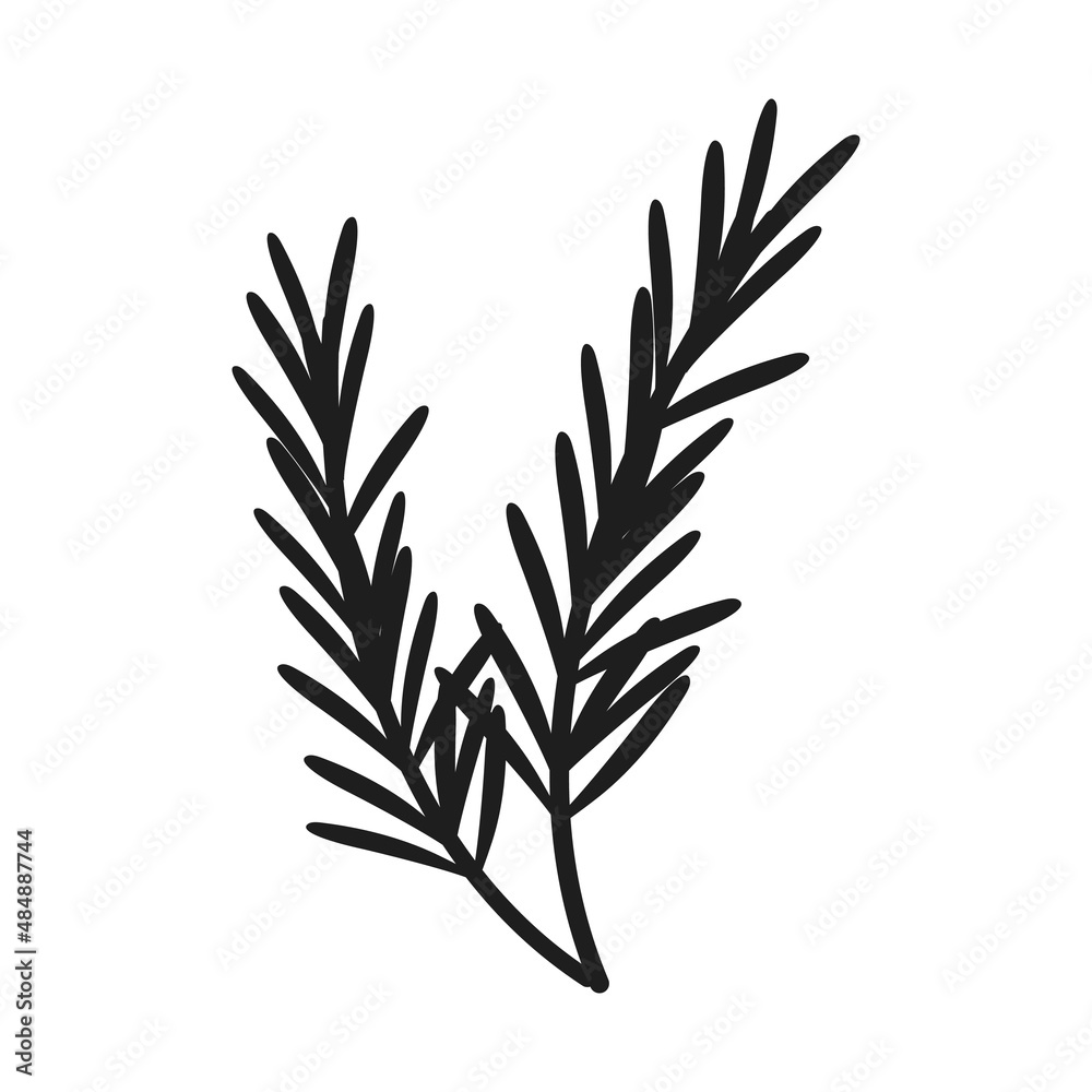 Fototapeta premium Herbs icon vector set. herbarium illustration sign collection. herb symbol. plant logo.