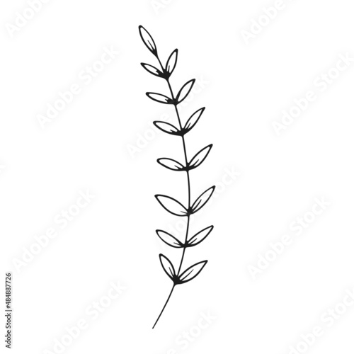 Herbs icon vector set. herbarium illustration sign collection. herb symbol. plant logo.