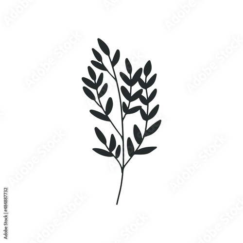 Herbs icon vector set. herbarium illustration sign collection. herb symbol. plant logo.
