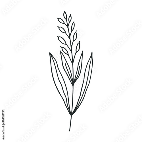 Herbs icon vector set. herbarium illustration sign collection. herb symbol. plant logo.