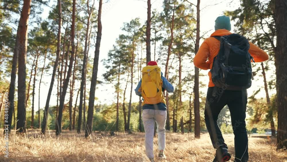 Teamwork. a group of hikers tourists walk through the forest with backpacks. team together travel teamwork business concept. man and woman hikers walking through the woods. hiker in the woods unity Teamwork. a group of hikers tourists walk through the forest with backpacks. team together travel teamwork business concept. man and woman hikers walking through the woods. hiker in the woods unity