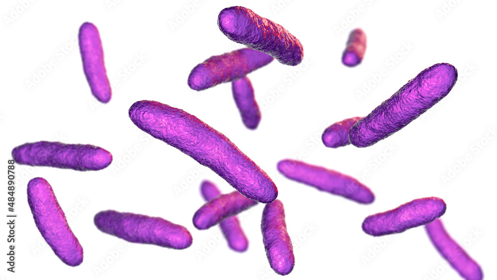 Bacteria Sphingomonas, 3D illustration Bacteria Sphingomonas, 3D illustration