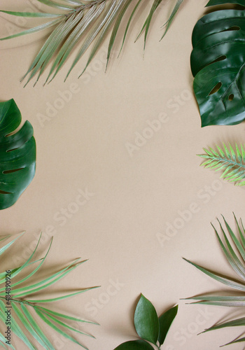 tropical palm leaves background copy space . Flat lay, nature concept, mockup
