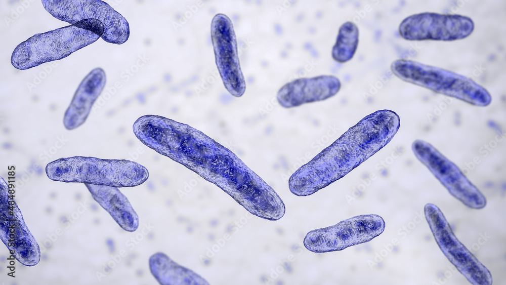Bacteria Sphingomonas, 3D illustration Bacteria Sphingomonas, 3D illustration