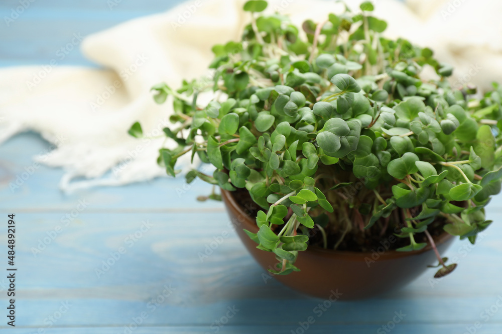 Fresh radish microgreens in bowl on light blue wooden table, space for text
