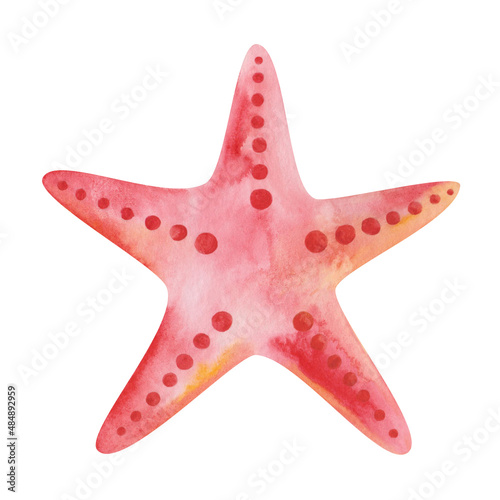 Watercolor illustration of hand painted red five finger starfish, ocean animal. Isolated on white sea animal creature. Design clip art element for fabric textile print, summer beach postcards