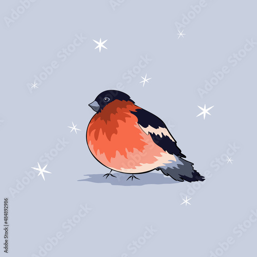 Hand-drawn wild wintering small tomtit with pinkish plumes on chest. Natural animalistic seasonal vector illustration. Eurasian bullfinch under snowflakes on blue background in simple flat style.