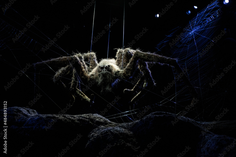 Fototapeta premium Spider at the Making of Harry Potter Studio Tour in Leavesden, UK