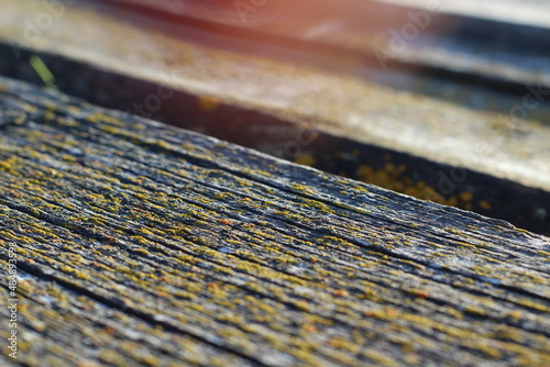 Weathered wooden roof covered with moss