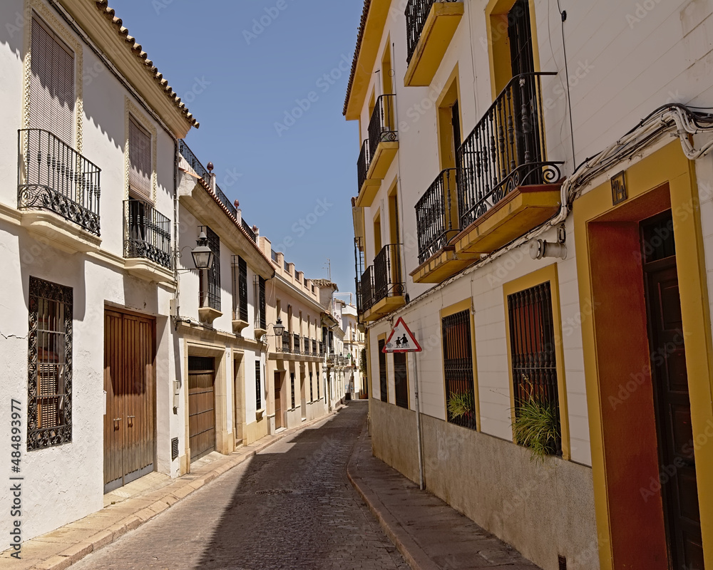 street with traditional houses in Cordoba, Andalusia, Spain