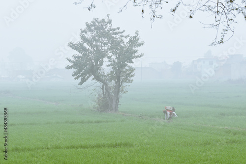 farmer pesticide exposure, a man pesticides rice farm land in India, stop pesticides today