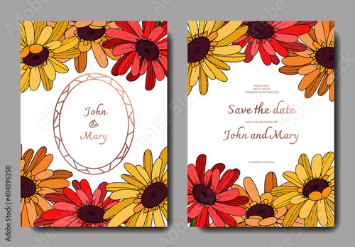vector gerbera floral botanical flower