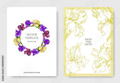 vector iris floral botanical flower