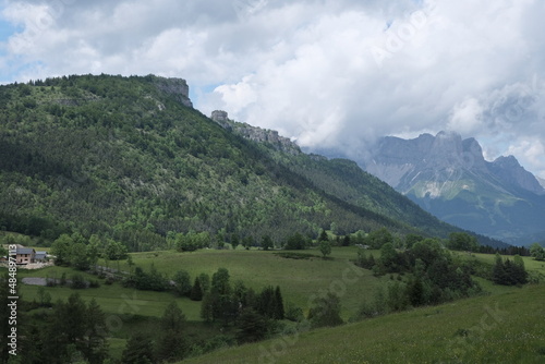 Natural variety found in Vercors valley, France. All the diversity of plant strata observed as you climb up in altitude.