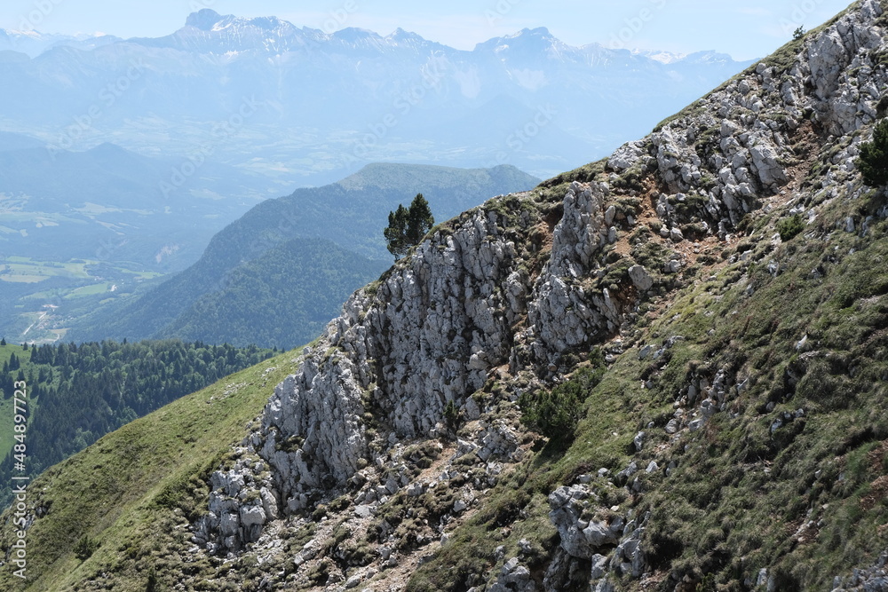 Obraz premium Natural variety found in Vercors valley, France. All the diversity of plant strata observed as you climb up in altitude.