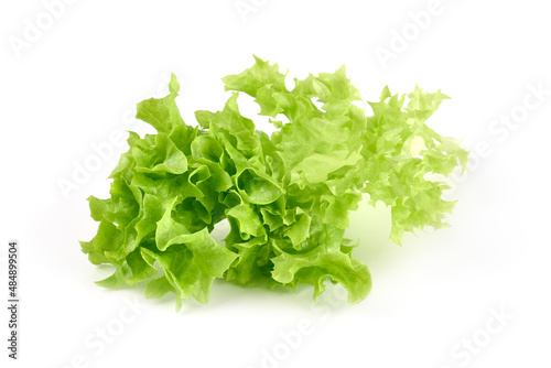 Salad leaf. Lettuce, isolated on white background. High resolution image.