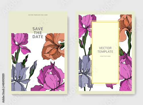 vector iris floral botanical flowers
