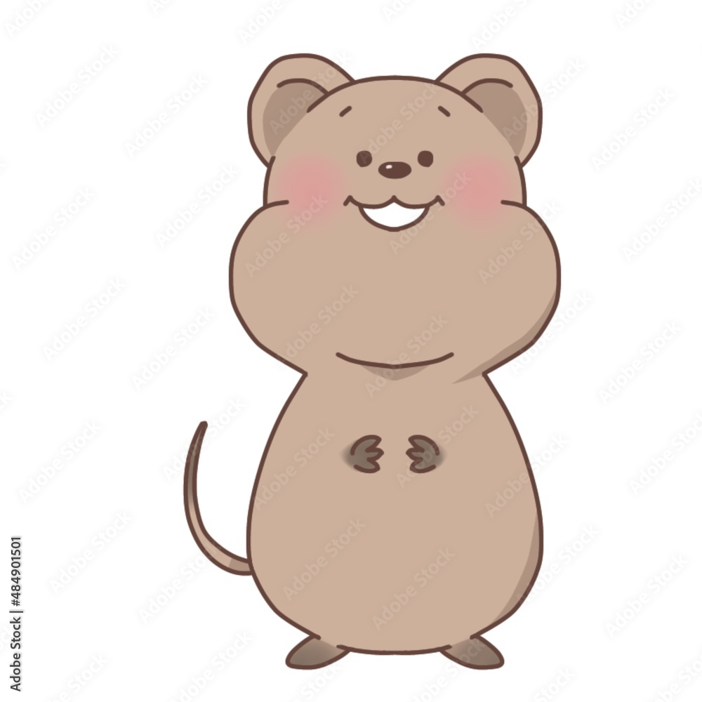 Illustration of cute quokka wallabies Illustration of cute quokka wallabies