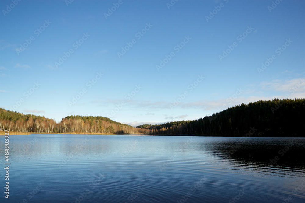 Lake view in autumn forest