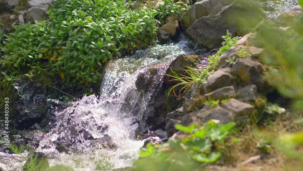 Natural clean origin water flowing in the forest in slow motion 180fps Natural clean origin water flowing in the forest in slow motion 180fps
