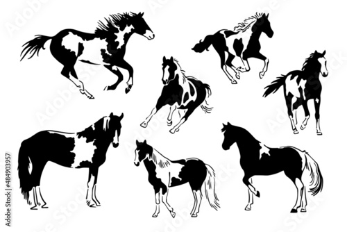 vector set of black and white horses