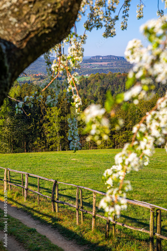 Sächsische Schweiz Sächsische Schweiz