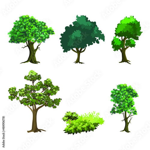 Set of plant and tree