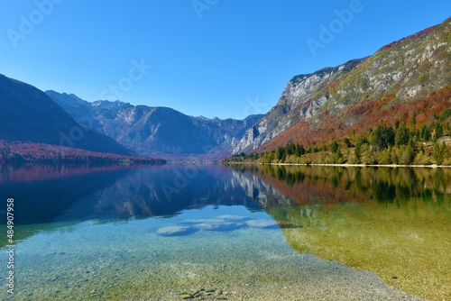 Scenic view of Bohinj lake in Gorenjska, Slovenia with the slopes covered in red colored autumn forest and a reflection of the surrounding mountains in the lake