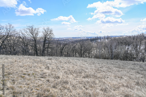 The mountains, steppes, snow, bushes, grass and cloudy sky. Volga River. Spring landscape.