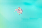 水中に浮かぶ花