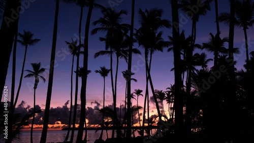 Palm trees Caribbean island. Daybreak over sea background. Seashore palms beach with red daybreak Tropical Atlantic ocean coast fond. Yellow sun and red sky. Ocean shore daybreak. Seascape beach