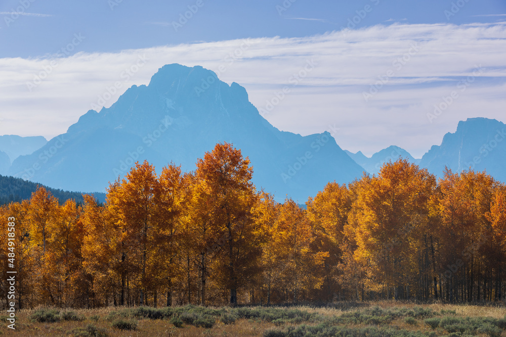 Fototapeta premium Scenic Autumn Landscape in Grand Teton National Park Wyoming
