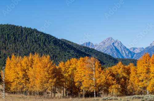 Scenic Autumn Landscape in Grand Teton National Park Wyoming