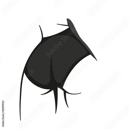 Woman back view in sheer underwear. Female black thong panties vector silhouette. Woman in shadow black and white illustration
