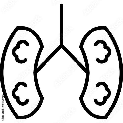Kidneys Icon